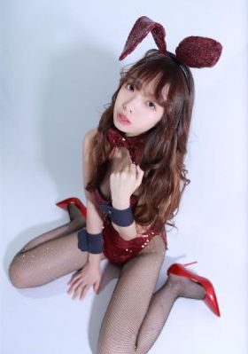 《杀狼花》电视剧_720在线视频播放