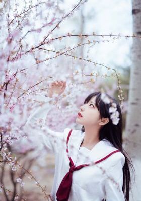 神探大战电影免费观看完整版国语_剧情片在线观看完整版